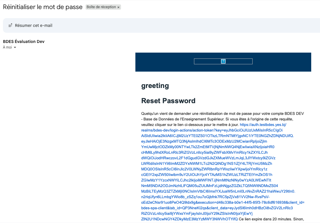 Email reçu contenant le lien Reset Password